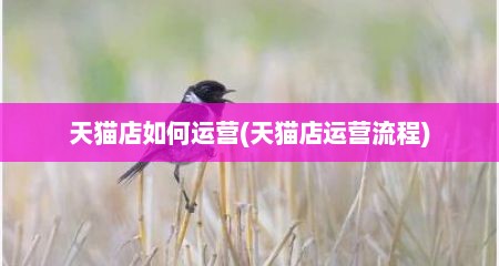 天猫店如何运营(天猫店运营流程)