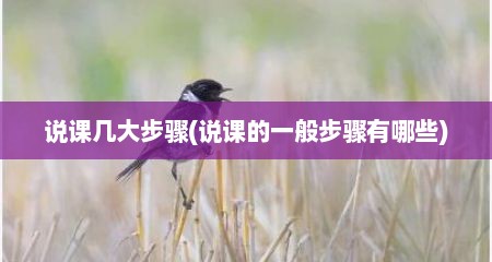 说课几大步骤(说课的一般步骤有哪些)
