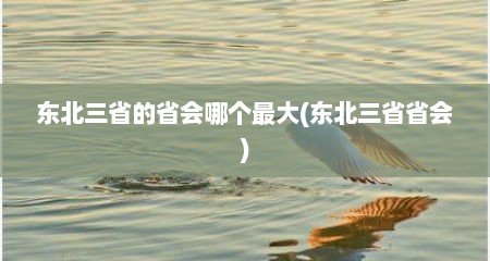 东北三省的省会哪个最大(东北三省省会)