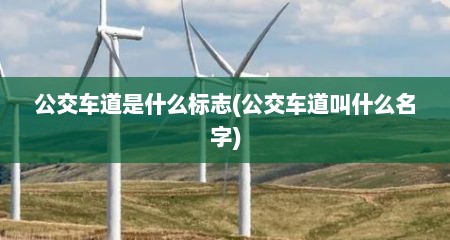 公交车道是什么标志(公交车道叫什么名字)