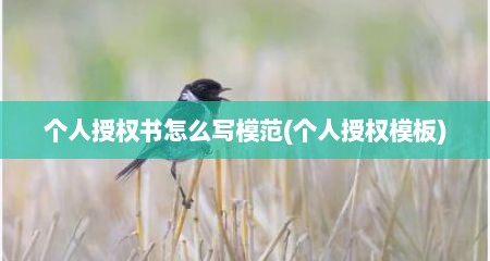 个人授权书怎么写模范(个人授权模板)