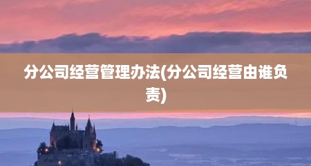 分公司经营管理办法(分公司经营由谁负责)