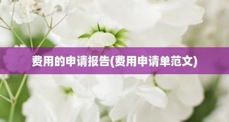 费用的申请报告(费用申请单范文)