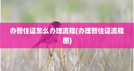 办暂住证怎么办理流程(办理暂住证流程图)