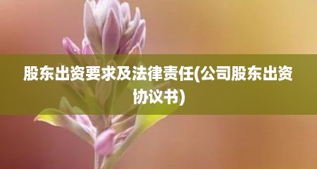 股东出资要求及法律责任(公司股东出资协议书)