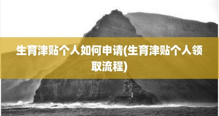 生育津贴个人如何申请(生育津贴个人领取流程)