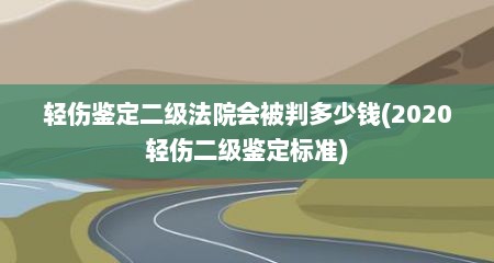 轻伤鉴定二级法院会被判多少钱(2020轻伤二级鉴定标准)