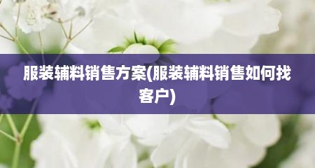 服装辅料销售方案(服装辅料销售如何找客户)
