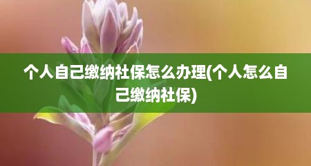个人自己缴纳社保怎么办理(个人怎么自己缴纳社保)
