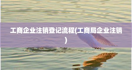 工商企业注销登记流程(工商局企业注销)