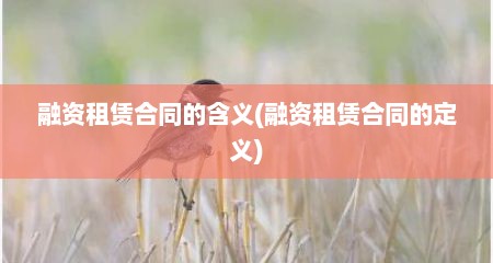 融资租赁合同的含义(融资租赁合同的定义)