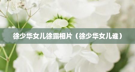 徐少华女儿徐露相片（徐少华女儿谁）