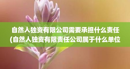 自然人独资有限公司需要承担什么责任(自然人独资有限责任公司属于什么单位性质)