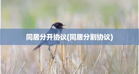 同居分开协议(同居分割协议)
