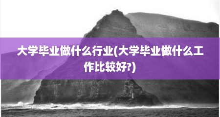 大学毕业做什么行业(大学毕业做什么工作比较好?)