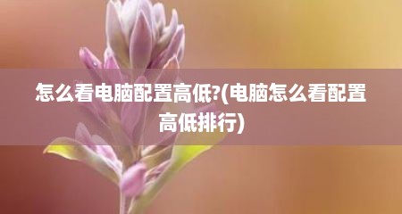 怎么看电脑配置高低?(电脑怎么看配置高低排行)