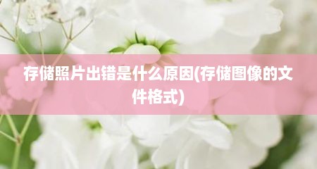 存储照片出错是什么原因(存储图像的文件格式)