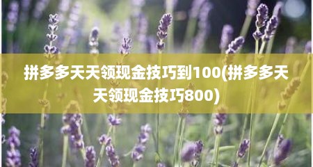 拼多多天天领现金技巧到100(拼多多天天领现金技巧800)