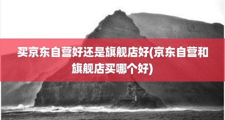 买京东自营好还是旗舰店好(京东自营和旗舰店买哪个好)