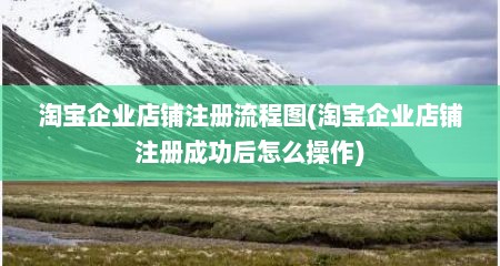 淘宝企业店铺注册流程图(淘宝企业店铺注册成功后怎么操作)