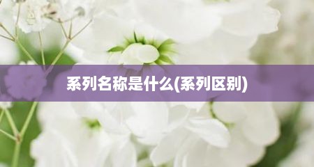 系列名称是什么(系列区别)
