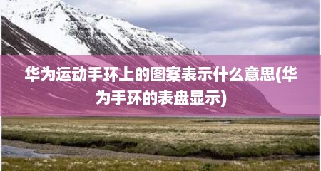华为运动手环上的图案表示什么意思(华为手环的表盘显示)