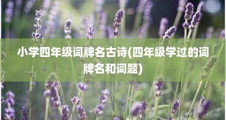 小学四年级词牌名古诗(四年级学过的词牌名和词题)