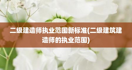 二级建造师执业范围新标准(二级建筑建造师的执业范围)