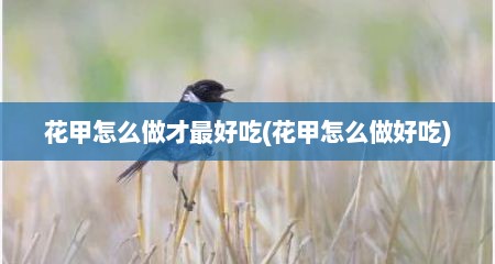 花甲怎么做才最好吃(花甲怎么做好吃)