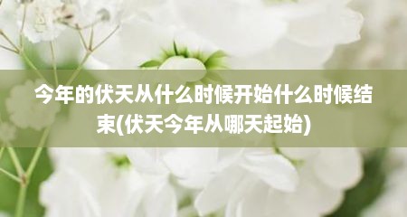 今年的伏天从什么时候开始什么时候结束(伏天今年从哪天起始)