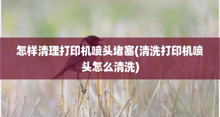 怎样清理打印机喷头堵塞(清洗打印机喷头怎么清洗)