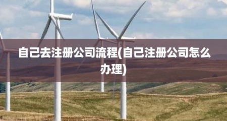 自己去注册公司流程(自己注册公司怎么办理)