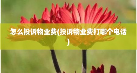 怎么投诉物业费(投诉物业费打哪个电话)