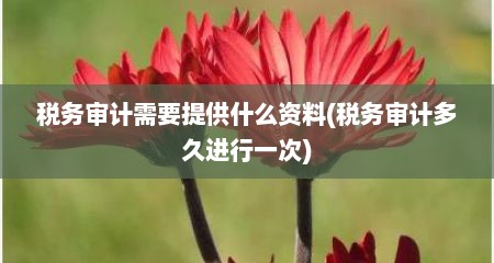 税务审计需要提供什么资料(税务审计多久进行一次)