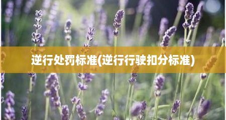 逆行处罚标准(逆行行驶扣分标准)