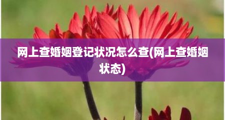 网上查婚姻登记状况怎么查(网上查婚姻状态)