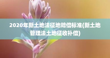 2020年新土地法征地赔偿标准(新土地管理法土地征收补偿)