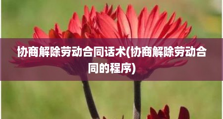协商解除劳动合同话术(协商解除劳动合同的程序)