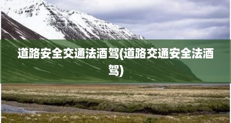 道路安全交通法酒驾(道路交通安全法酒驾)