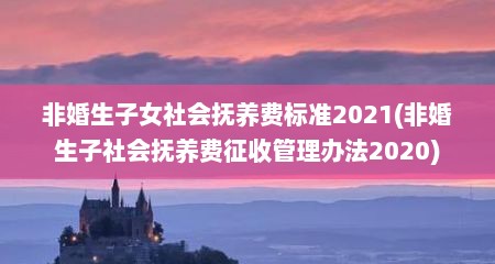 非婚生子女社会抚养费标准2021(非婚生子社会抚养费征收管理办法2020)