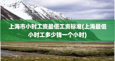 上海市小时工资最低工资标准(上海最低小时工多少钱一个小时)