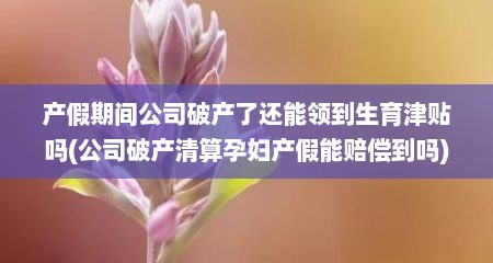 产假期间公司破产了还能领到生育津贴吗(公司破产清算孕妇产假能赔偿到吗)