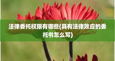 法律委托权限有哪些(具有法律效应的委托书怎么写)