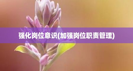 强化岗位意识(加强岗位职责管理)