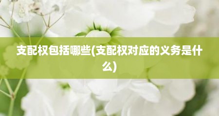 支配权包括哪些(支配权对应的义务是什么)