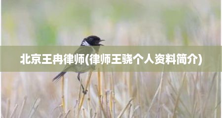 北京王冉律师(律师王骁个人资料简介)