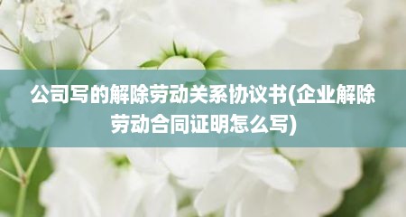 公司写的解除劳动关系协议书(企业解除劳动合同证明怎么写)