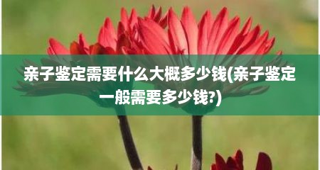 亲子鉴定需要什么大概多少钱(亲子鉴定一般需要多少钱?)