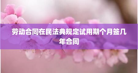 劳动合同在民法典规定试用期个月签几年合同