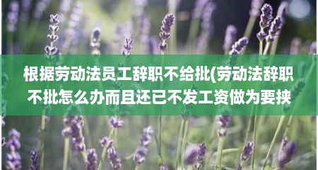 根据劳动法员工辞职不给批(劳动法辞职不批怎么办而且还已不发工资做为要挟)